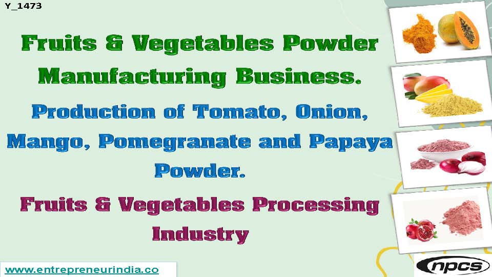Fruits & Vegetables Powder Manufacturing Business