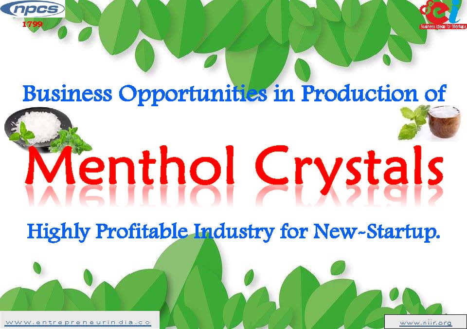 Business Opportunities in Production of Menthol Crystals Highly Profitable Business Industry