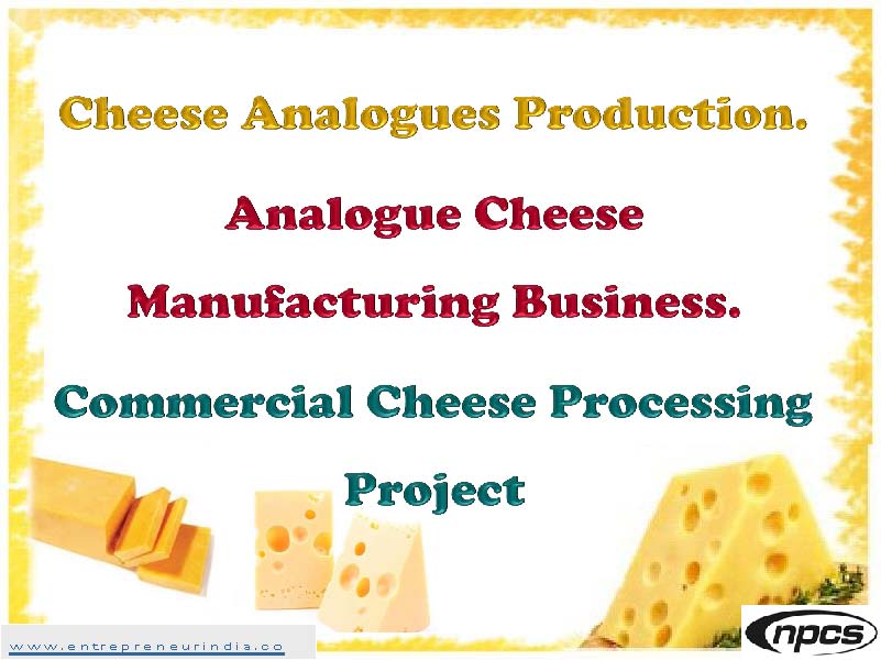 Cheese Analogues Production