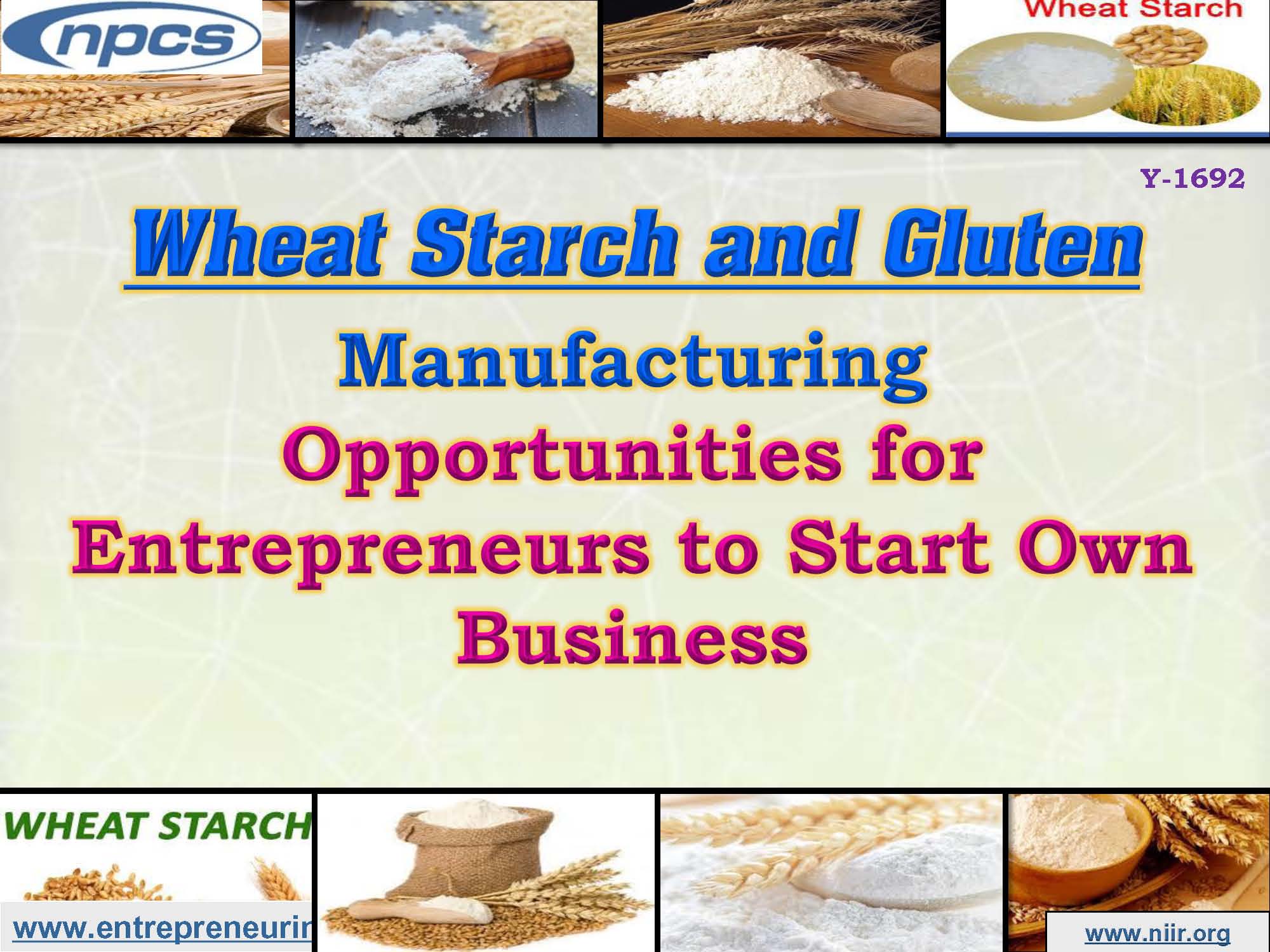 Wheat Starch and Gluten Manufacturing