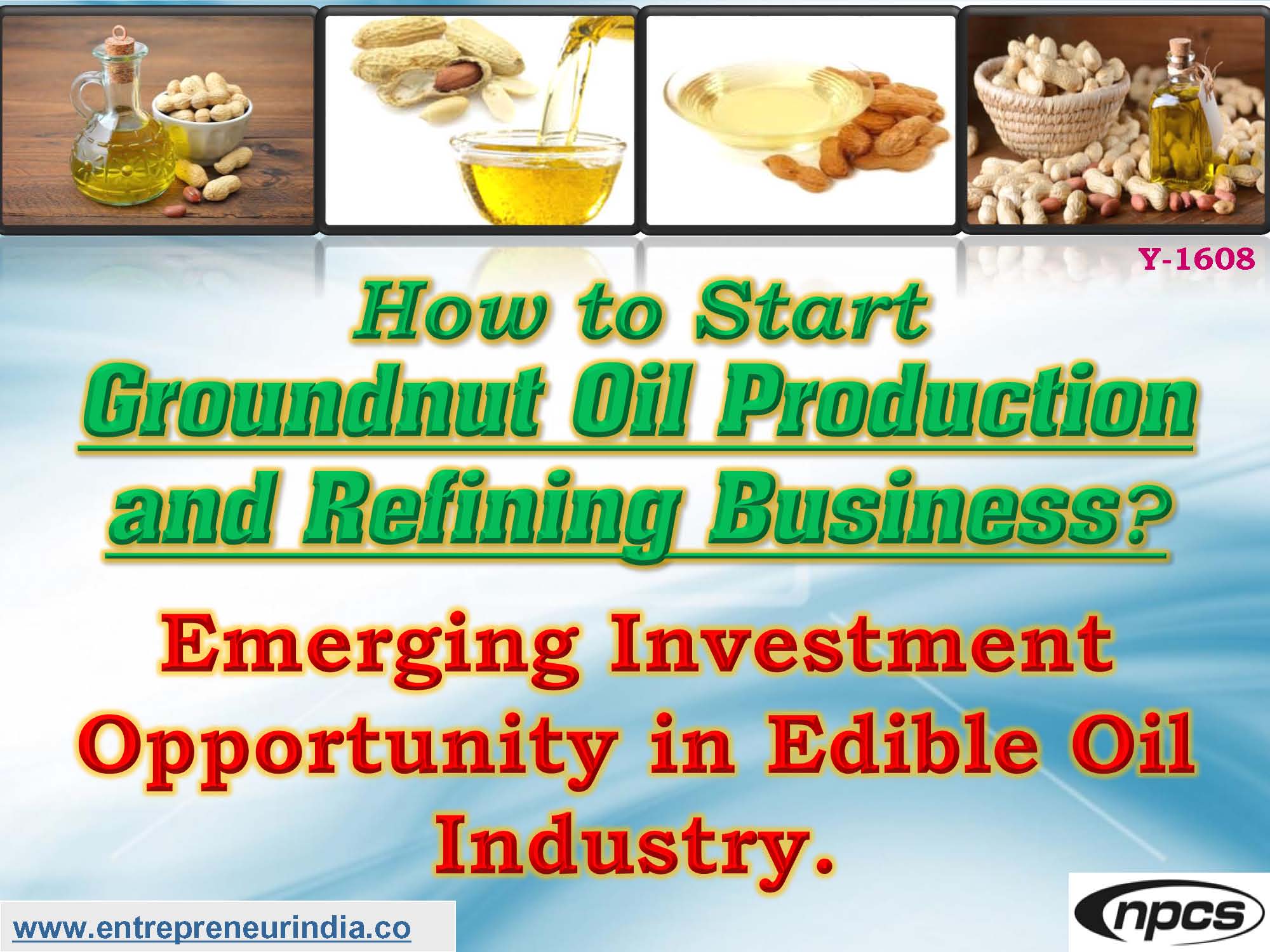 groundnut oil production business plan