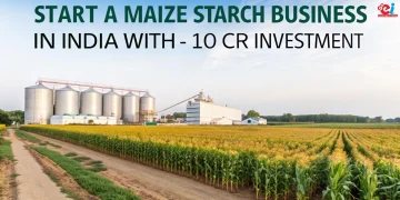 Maize starch