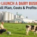Dairy business