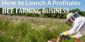Bee Farming Business