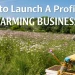 Bee Farming Business