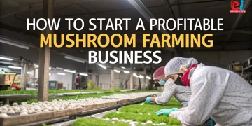 Mushroom farming