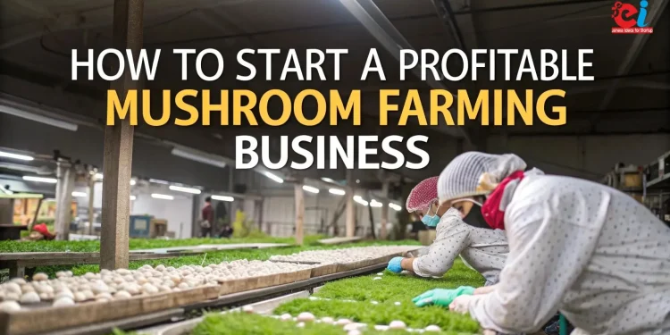 Mushroom farming