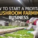Mushroom farming