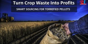 Torrefied Pellets