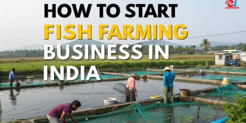 fish farming business