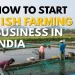 fish farming business