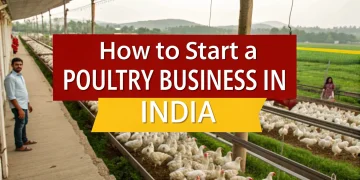 poultry business