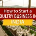 poultry business