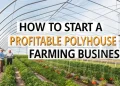 Polyhouse farming