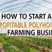 Polyhouse farming