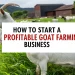 Goat farming business