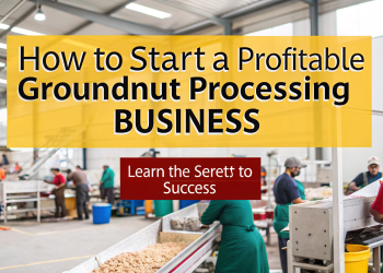 groundnut processing business