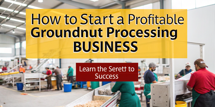 groundnut processing business