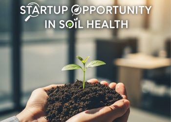 Soil Business