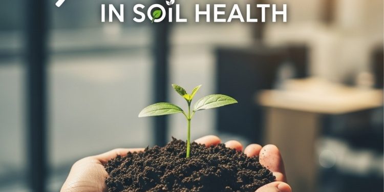 Soil Business