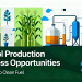 Ethanol Production Business Opportunities: From Crop To Clean Fuel.