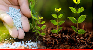 Fertilizer Manufacturing Business