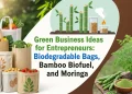 Green Business Ideas