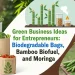 Green Business Ideas