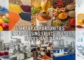 Startup Opportunities
