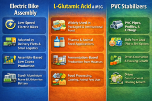 Manufacturing Segments for MSMEs and Investors in EVss
