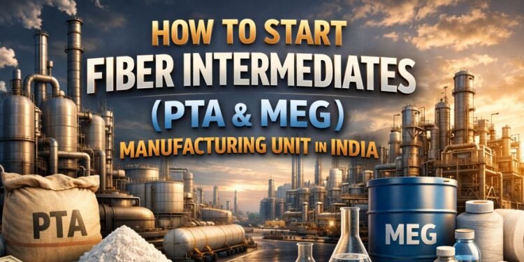 fiber intermediates manufacturing India process diagram showing PTA and MEG production