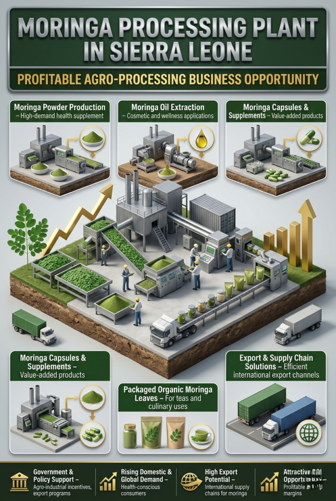 Moringa Processing Plant in Sierra