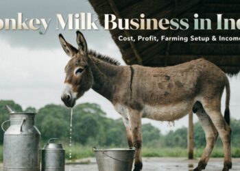 Donkey milk farming in India setup