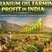 Geranium Oil Farming Profit