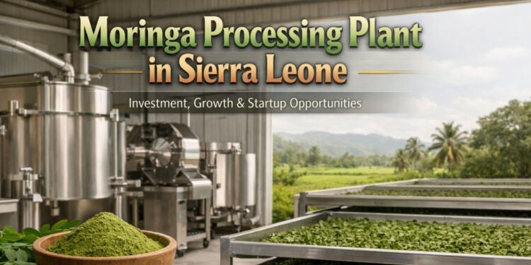 Moringa Processing Plant in Sierra