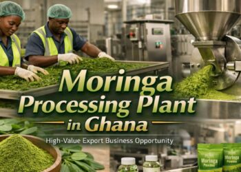 Moringa Processing Plant