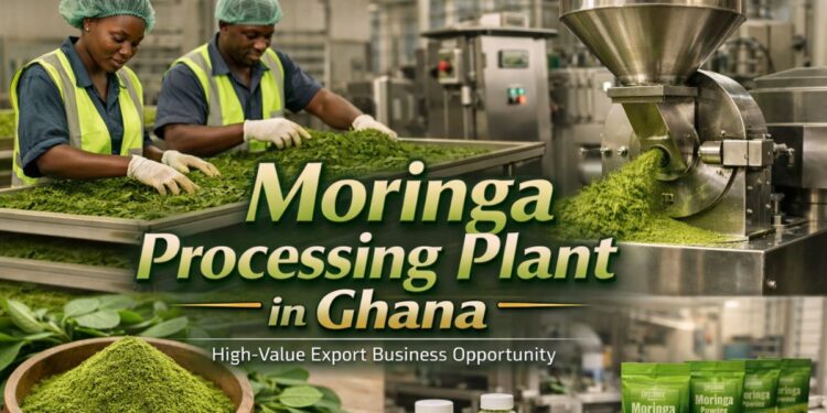 Moringa Processing Plant