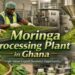 Moringa Processing Plant