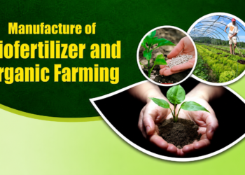 Biofertilizer production process showing microbial culture fermentation and manufacturing setup in organic farming industry