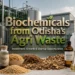 Agro Waste Biochemical Business