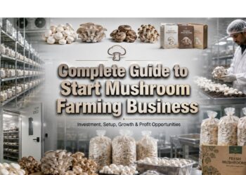Mushroom Farming Business in India