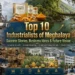 Top 10 Industrialists of Meghalaya: Success Stories