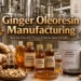 Ginger Oleoresin Manufacturing Business in India