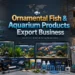Ornamental Fish Export Business in India with freshwater aquarium fish for international export