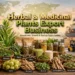 How to Start a Herbal and Medicinal Plants Export Business
