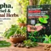 Jatropha Biodiesel and Medicinal Herbs Business in India