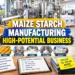 Maize Starch Manufacturing: Business, Plant Cost