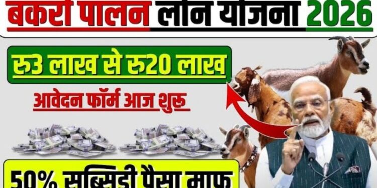 Goat Farming Business Loan Detail
