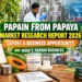 Papain Manufacturing Business in India 2026: Market Size