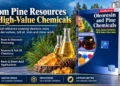 Pine Chemicals and Oleoresin: Market, Business & Processing